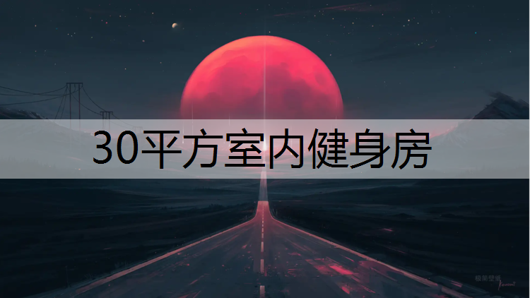 30平方室内健身房